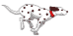 dalmation drawing