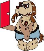 Until the problem is corrected, your pet will continue to be uncomfortable!