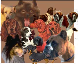 Some dogs that can get epilepsy