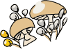 Mushrooms