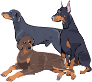 Dr. Myers also has three Dobbies. All of her dogs love these brownies!