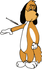 All older dogs need a blood test!