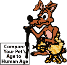 Cartoon of Old Dog and Cat