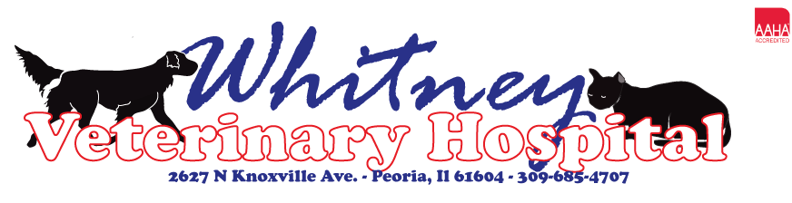 Welcome to Whitney Veterinary Hospital Online