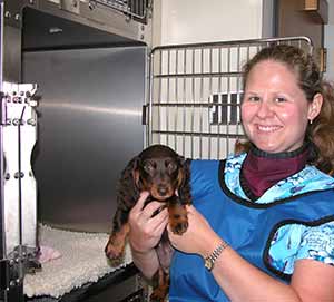 technician holding pup prior to x-ray