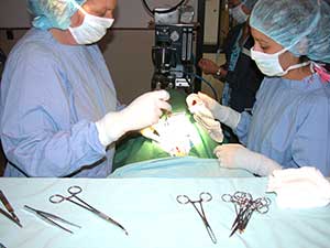 surgery