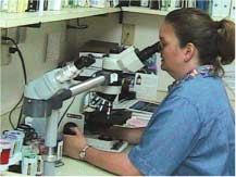 Dr. Hayes is shown studying a slide.