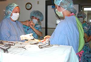 surgery
