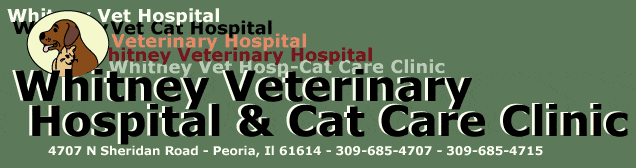 Welcome to Whitney Veterinary Hospital Online